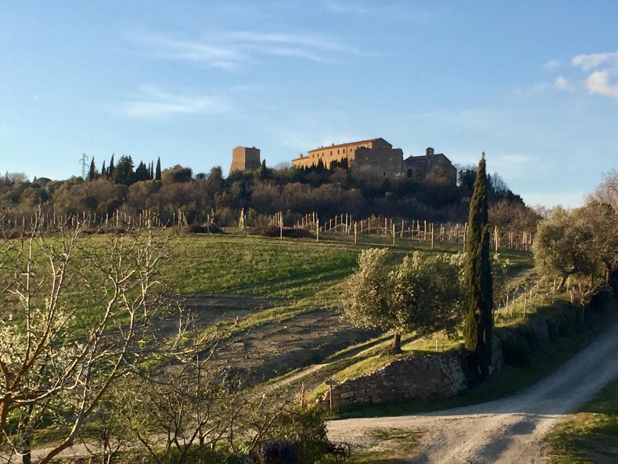 Le Querciole In Val D'orcia * Bagno Vignoni