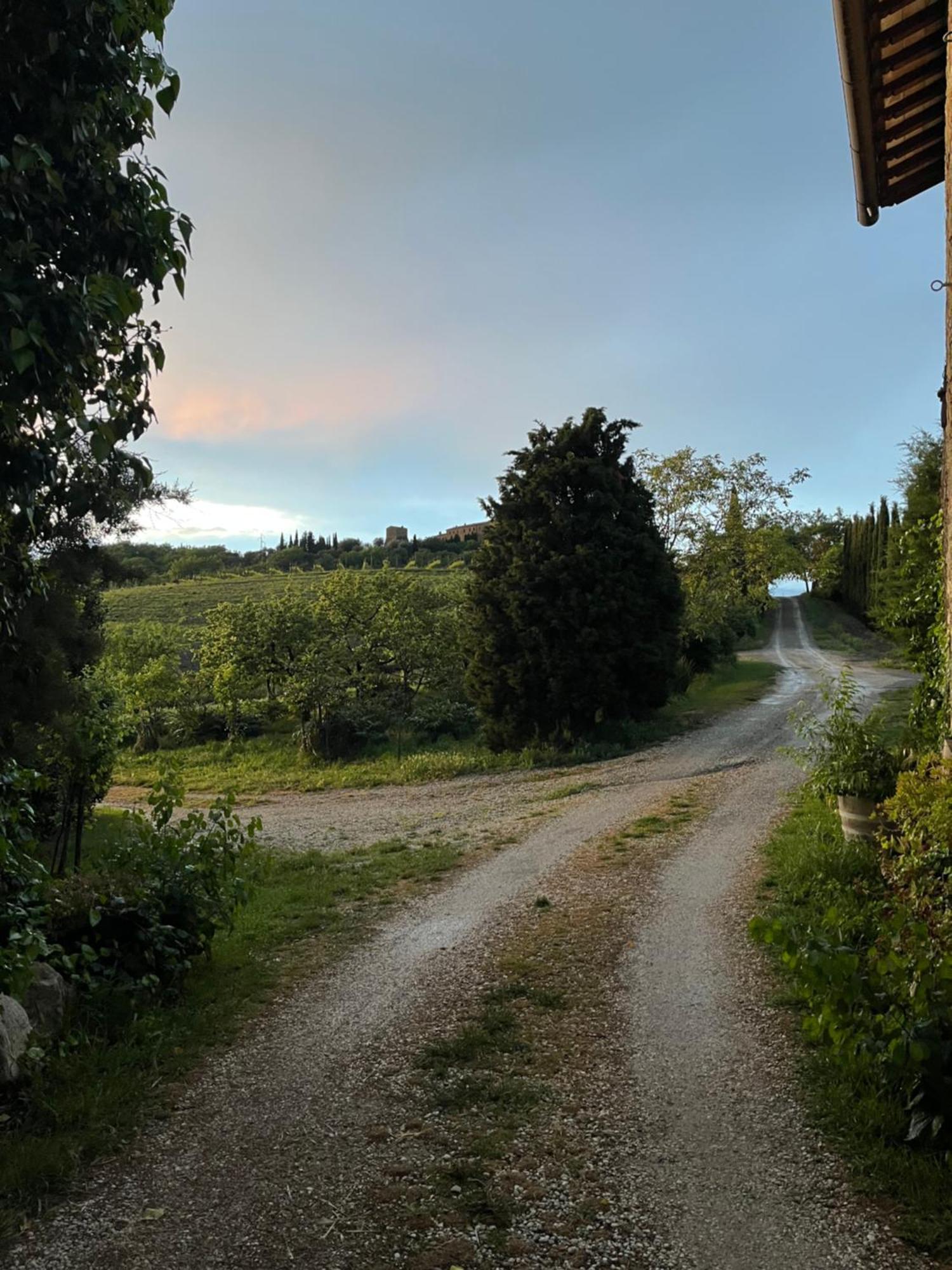 Appartamento Le Querciole In Val D'orcia Bagno Vignoni