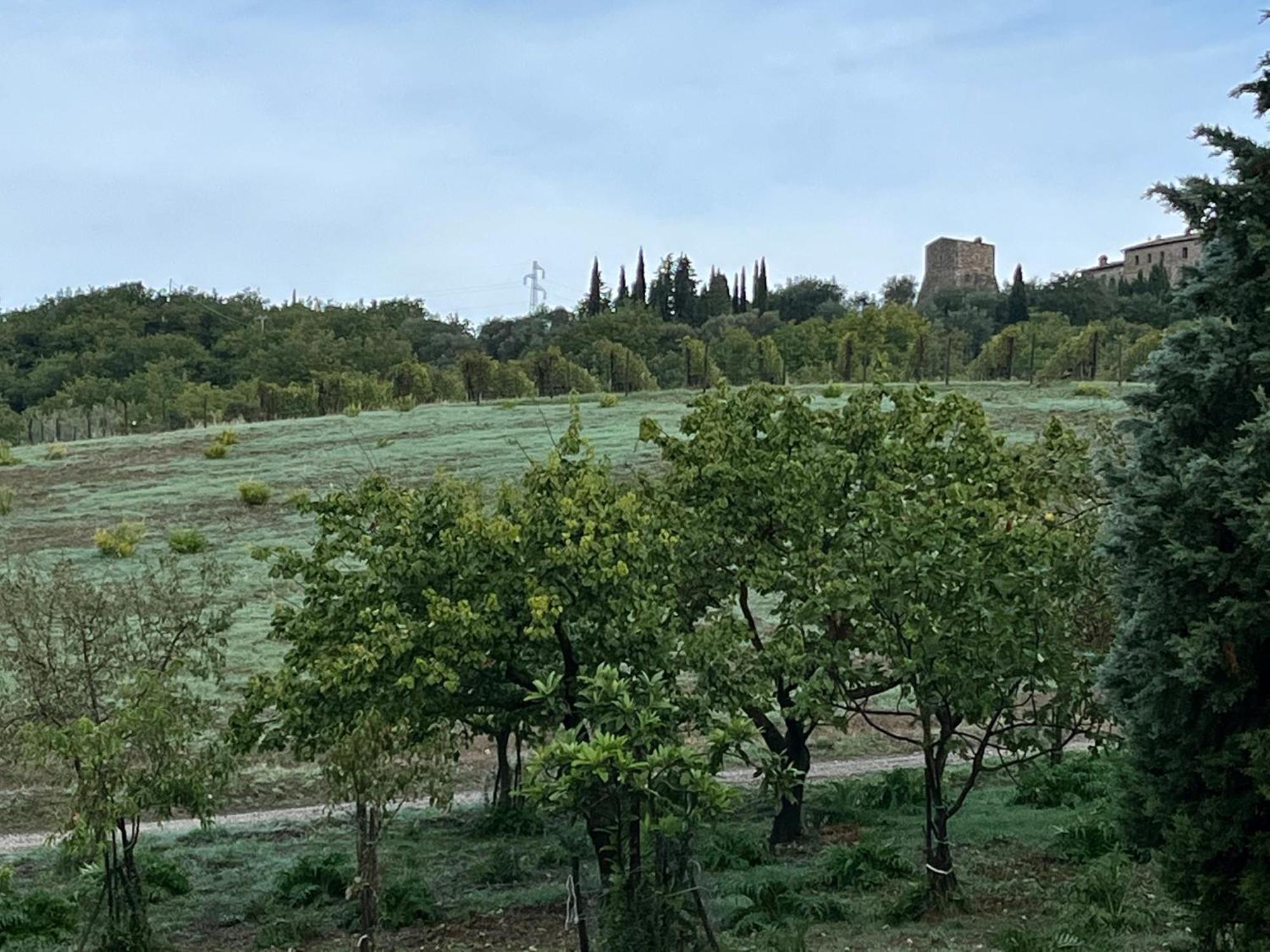Apartment Le Querciole In Val D'orcia *