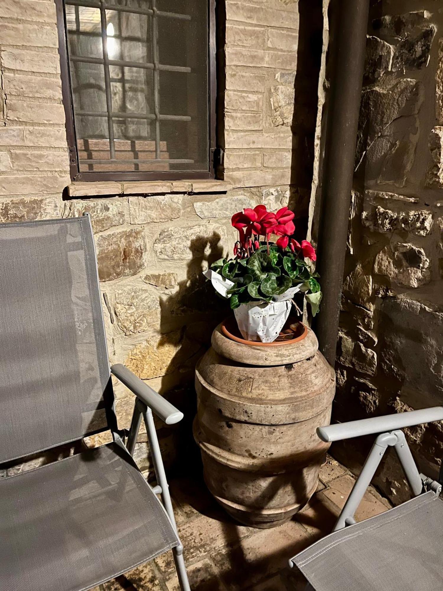 Apartment Le Querciole In Val D'orcia