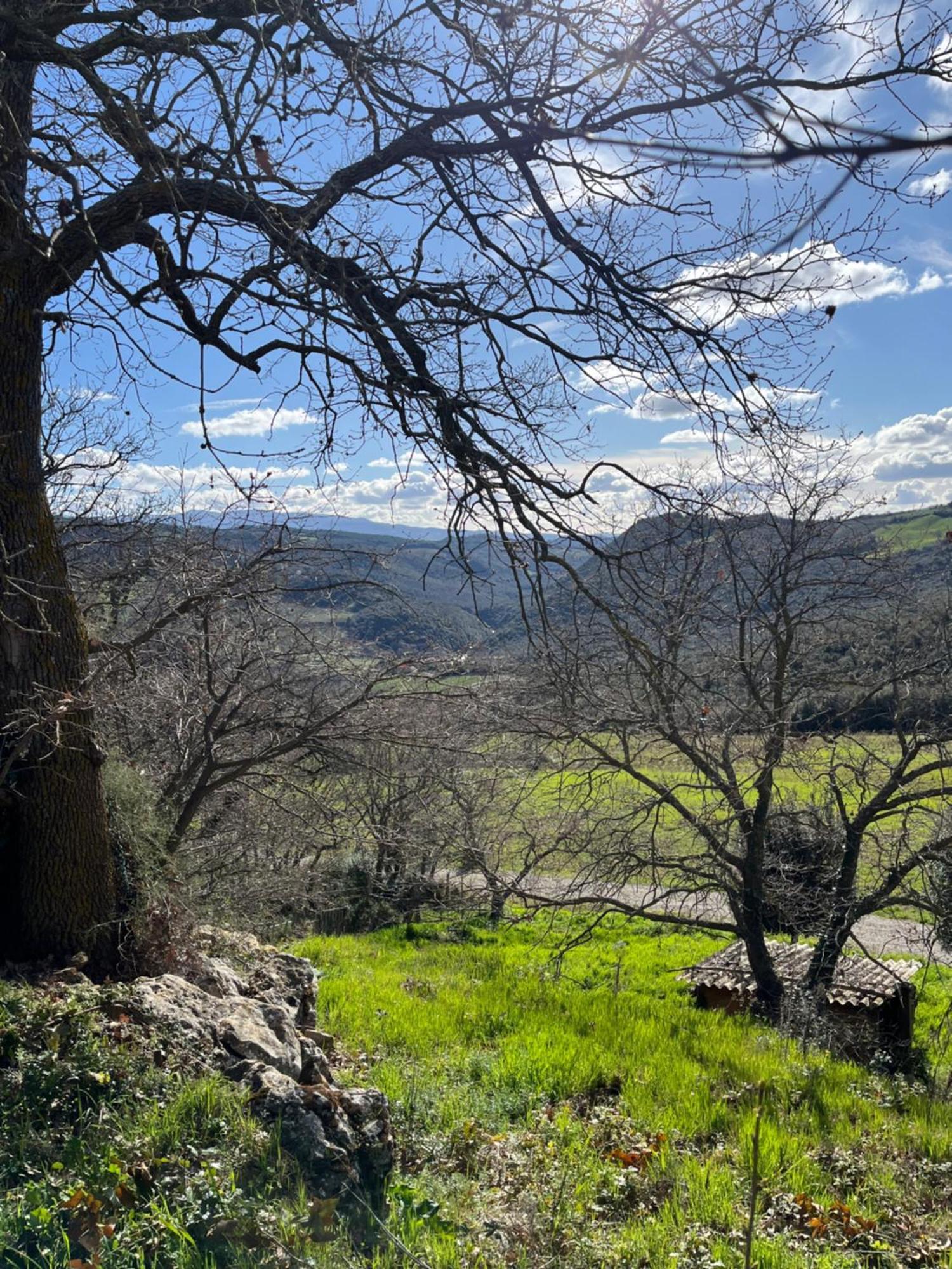 Le Querciole In Val D'orcia Bagno Vignoni